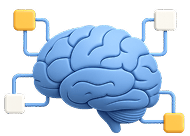 Brain